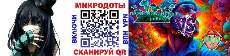 Галлюциногенные грибы Psilocybine cubensis  магазин  наркотиков  Великий Новгород 
