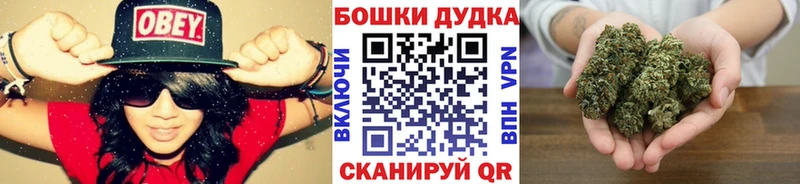 Канабис ГИДРОПОН  Великий Новгород 